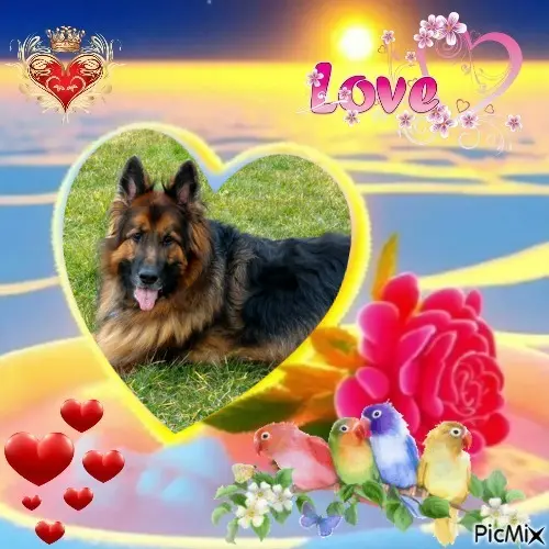 Condolence image of Dzień Dobry❤️❤️❤️mój Ukochany❤️❤️❤️❤️❤️❤️❤️Misieńku❤️❤️❤️