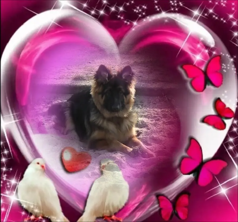 Condolence image of Dobry Wieczór❤️❤️❤️Mińku❤️❤️❤️