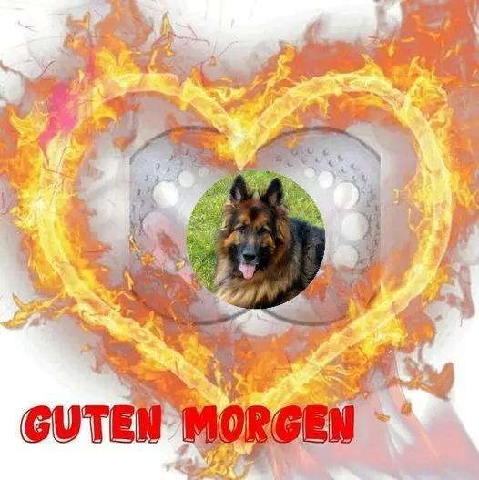 Condolence image of Dzień Dobry❤️❤️❤️mój Ukochany❤️❤️❤️❤️❤️❤️❤️Misieńku❤️❤️❤️