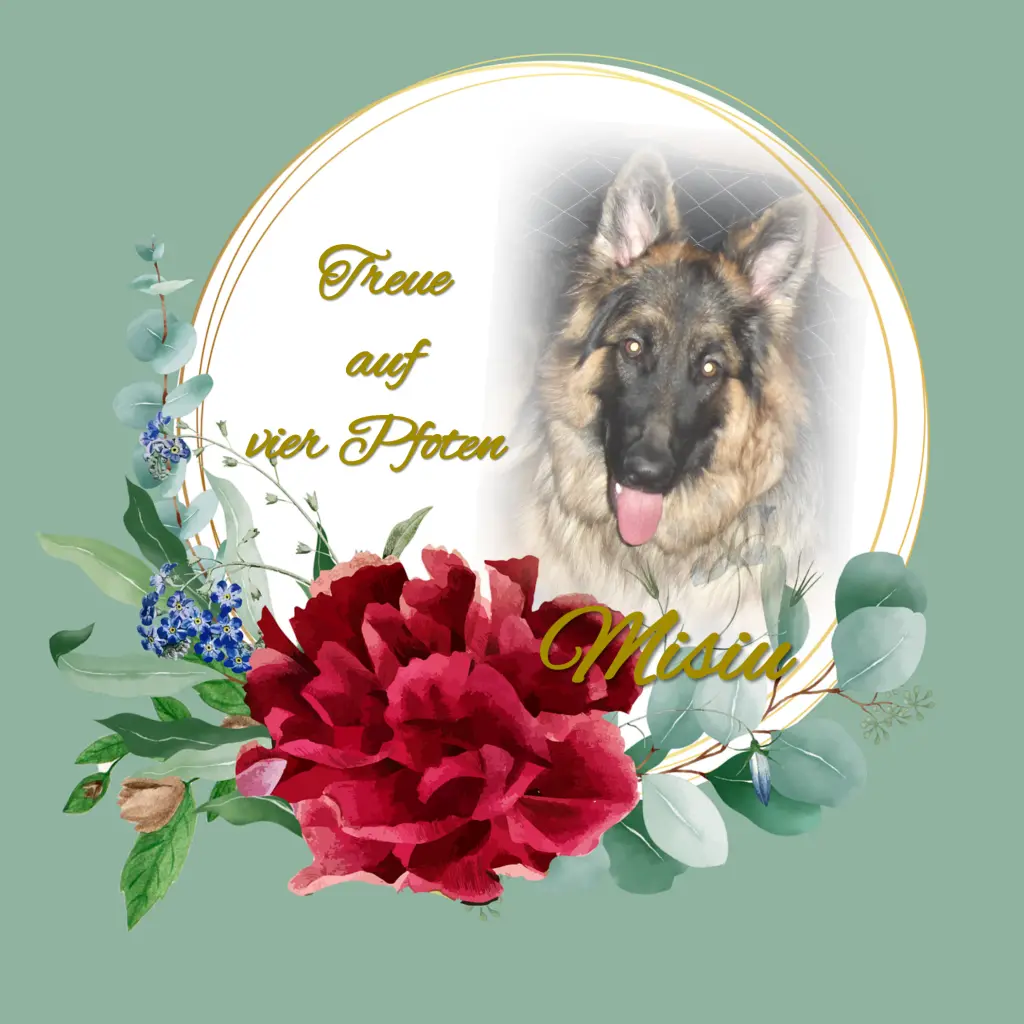 Condolence image of Gaby mit Snowy* im Herzen