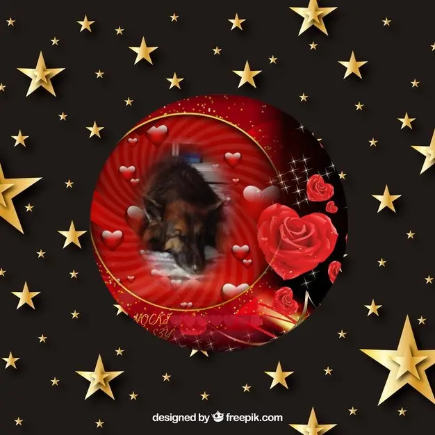 Condolence image of Dobrej Nocki❤️❤️❤️❤️❤️❤️mój Ukochany❤️❤️❤️❤️❤️❤️Misieńku❤️❤️❤️