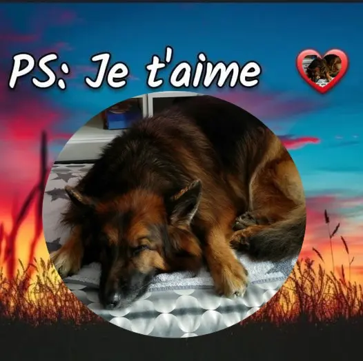 Condolence image of Dobrej Nocki❤️❤️❤️Ukochany❤️❤️❤️❤️❤️❤️❤️❤️Misieńku❤️❤️❤️⭐️