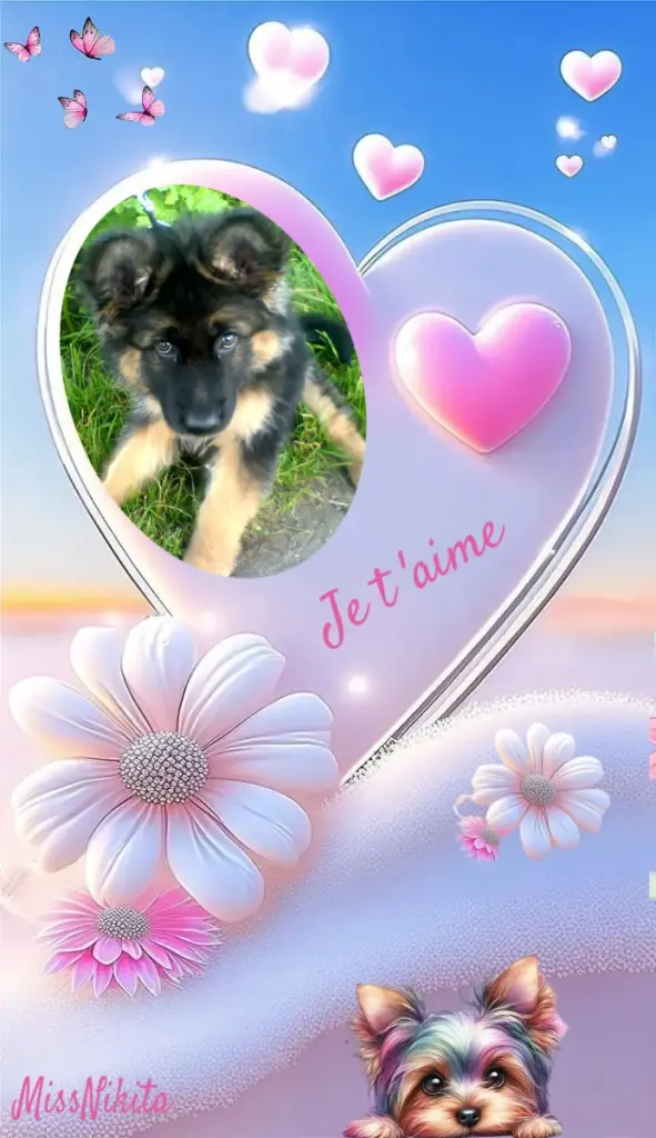 Condolence image of Dzień Dobry❤️❤️❤️mój Ukochany❤️❤️❤️❤️❤️❤️❤️Misieńku❤️❤️❤️