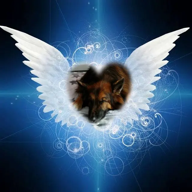 Condolence image of Dobrej Nocki❤️❤️❤️❤️❤️❤️mój Ukochany❤️❤️❤️❤️❤️❤️Misieńku❤️❤️❤️