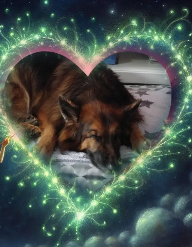 Condolence image of Dobrej Nocki❤️❤️❤️❤️❤️❤️mój Ukochany❤️❤️❤️❤️❤️❤️Misieńku❤️❤️❤️