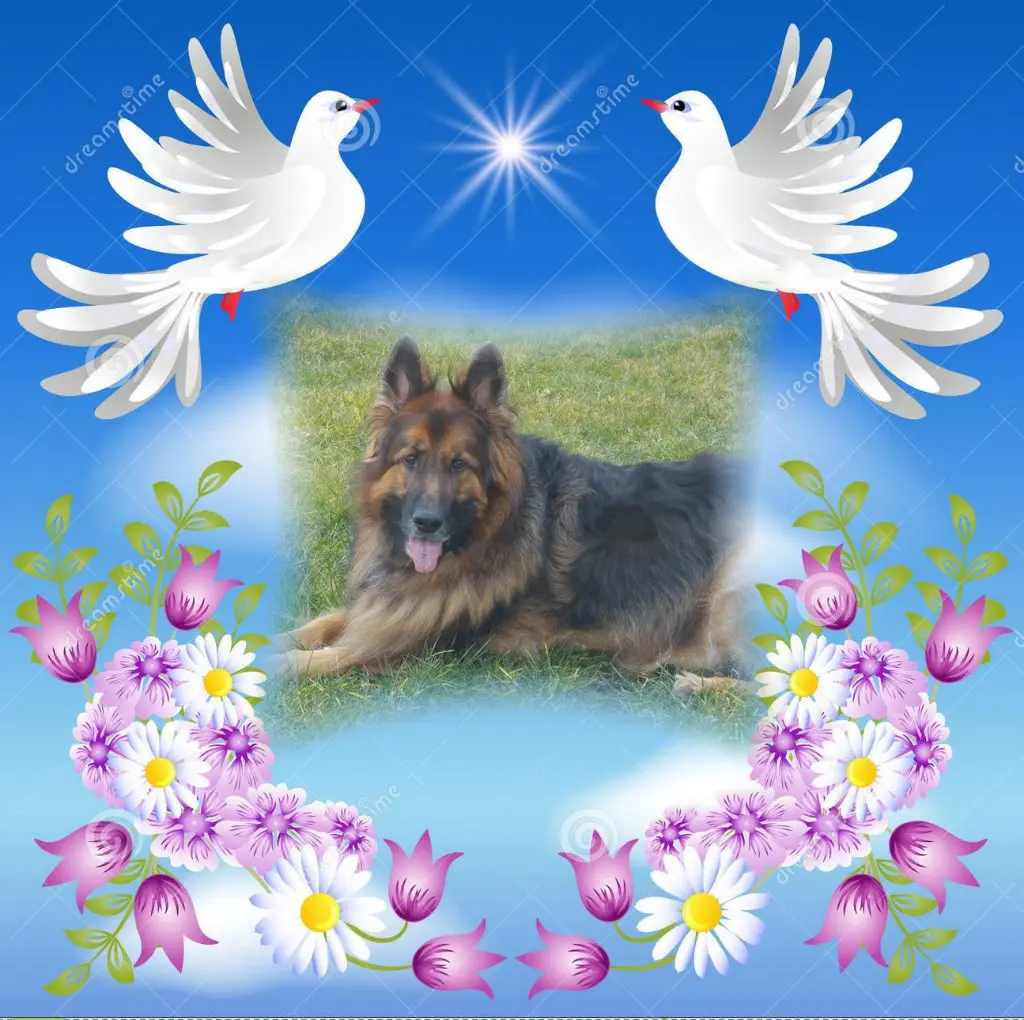 Condolence image of Dzień Dobry❤️❤️❤️mój Ukochany❤️❤️❤️❤️❤️❤️❤️Misieńku❤️❤️❤️