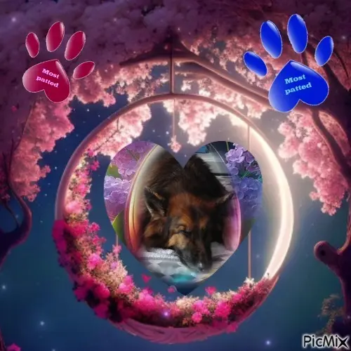 Condolence image of Dobrej Nocki❤️❤️❤️❤️❤️❤️mój Ukochany❤️❤️❤️❤️❤️❤️Misieńku❤️❤️❤️