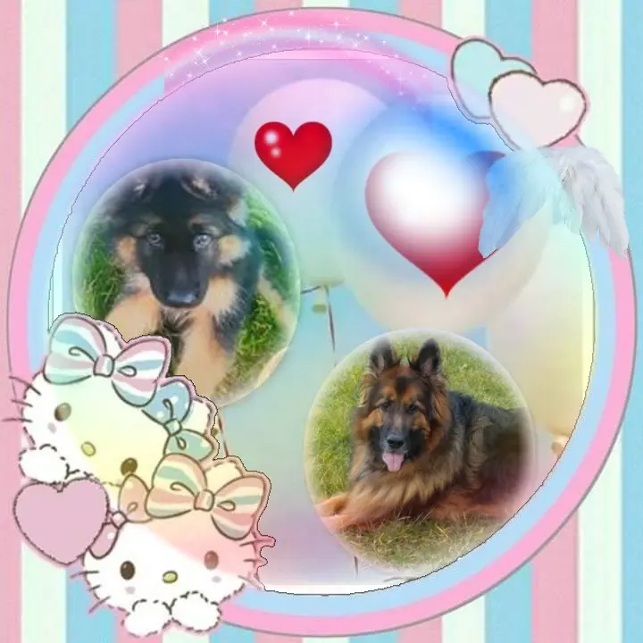 Condolence image of Dzień Dobry❤️❤️❤️mój Ukochany❤️❤️❤️❤️❤️❤️❤️Misieńku❤️❤️❤️