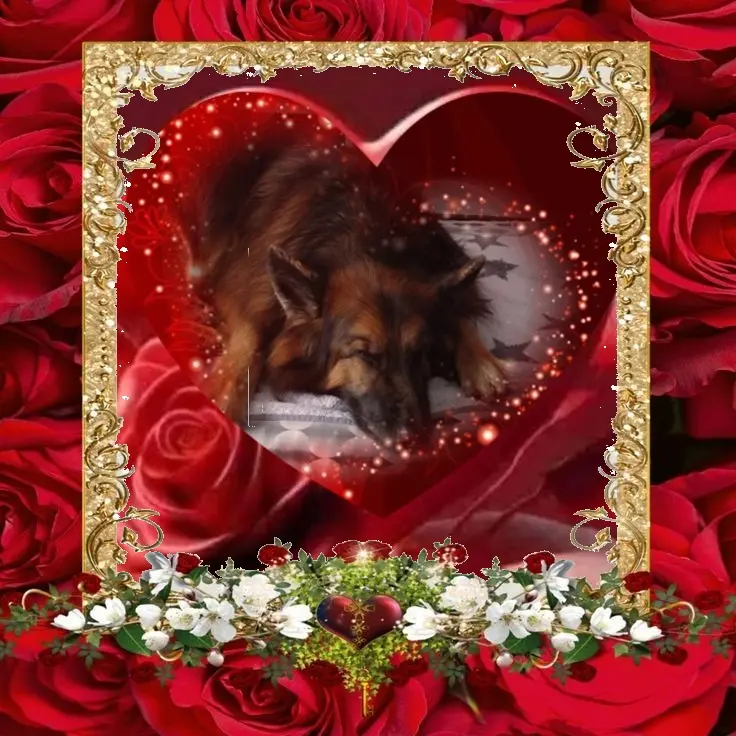 Condolence image of Dobrej Nocki❤️❤️❤️❤️❤️❤️mój Ukochany❤️❤️❤️❤️❤️❤️Misieńku❤️❤️❤️
