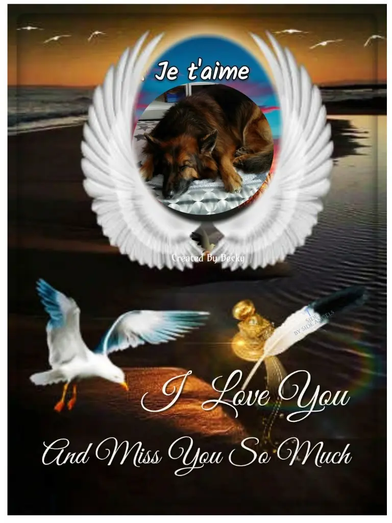 Condolence image of Dobrej Nocki❤️❤️❤️❤️❤️❤️mój Ukochany❤️❤️❤️❤️❤️❤️Misieńku❤️❤️❤️