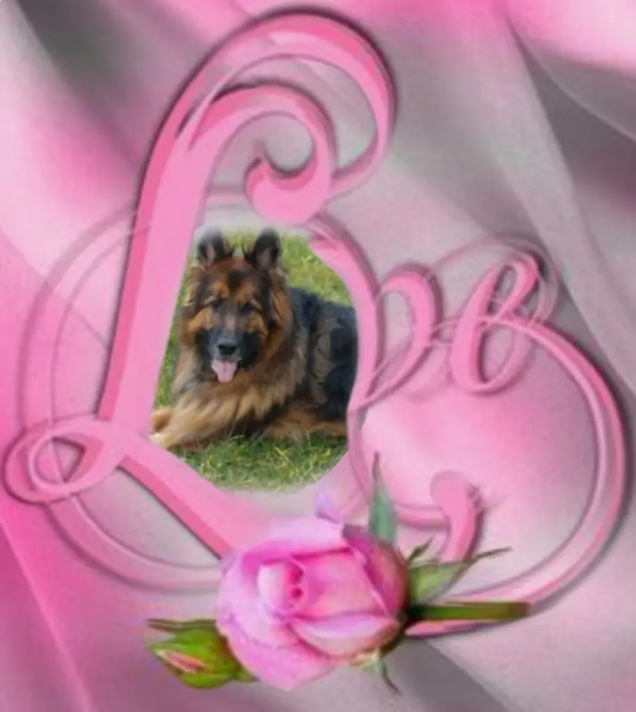 Condolence image of Niedziela...325 tygodni bez Ciebie♥️ kochany Misiu♥️...