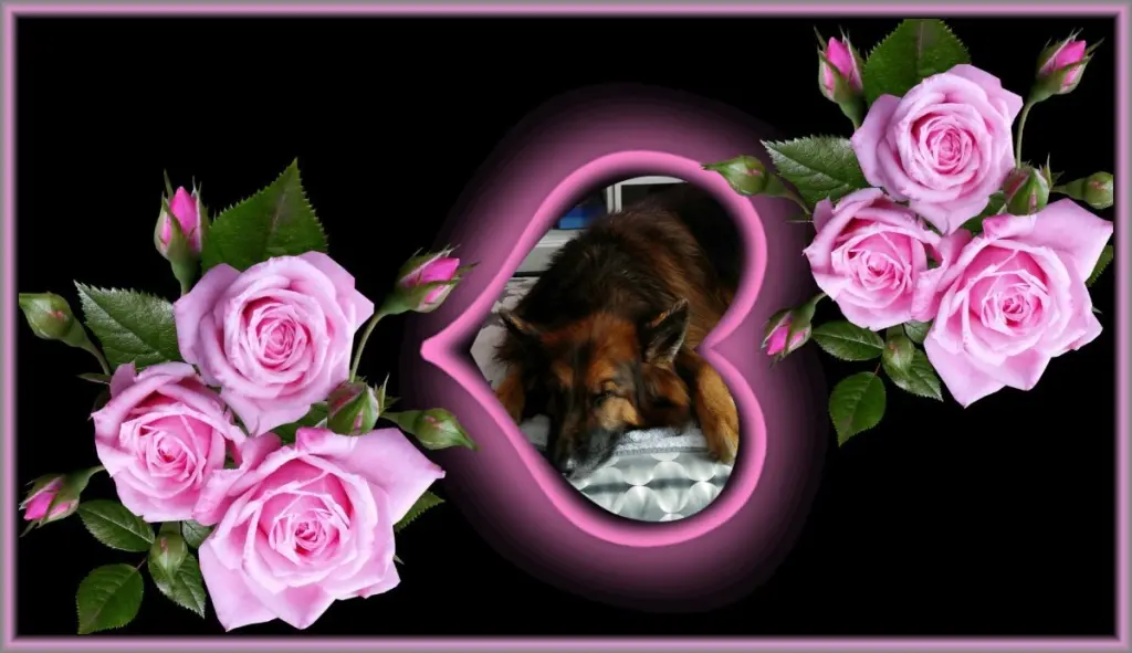 Condolence image of Dobrej Nocki❤️❤️❤️❤️❤️❤️mój Ukochany❤️❤️❤️❤️❤️❤️Misieńku❤️❤️❤️