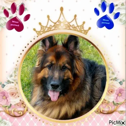 Condolence image of Dzień Dobry❤️❤️❤️mój Ukochany❤️❤️❤️❤️❤️❤️❤️Misieńku❤️❤️❤️