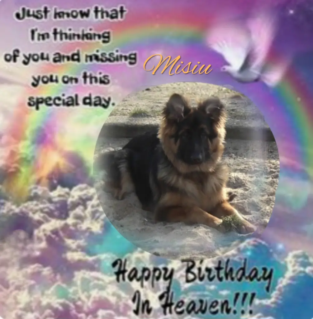 Condolence image of ♥️Happy Birthday lieber Misiu♥️