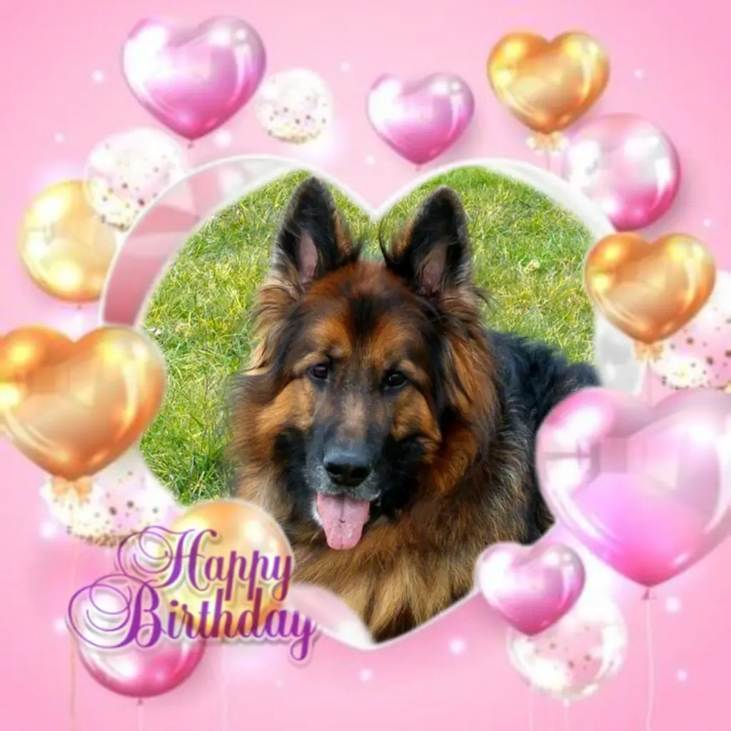 Condolence image of 17. Urodzinki❤️❤️❤️Ukochanego❤️❤️❤️❤️❤️❤️Misieńka❤️❤️❤️⭐️
