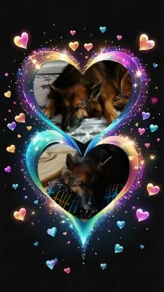 Condolence image of Dobrej Nocki❤️❤️❤️❤️❤️❤️mój Ukochany❤️❤️❤️❤️❤️❤️Misieńku❤️❤️❤️