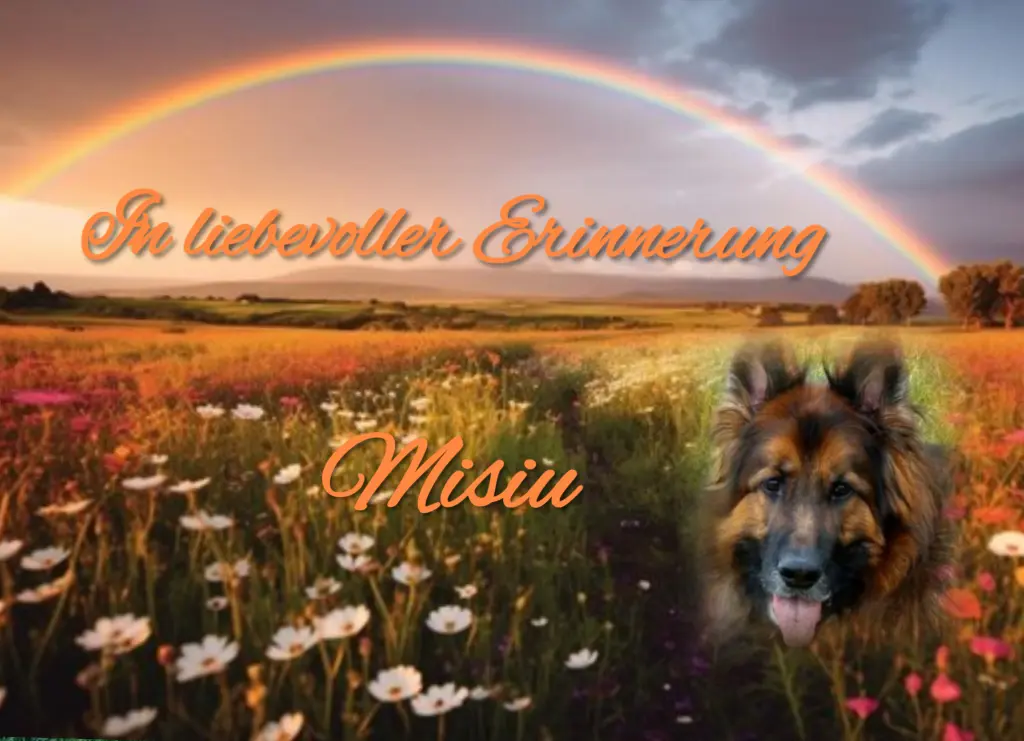 Condolence image of ❤️Immer im Herzen ❤️
