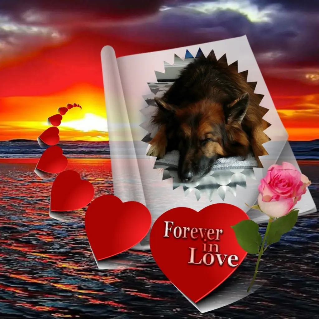Condolence image of Dobrej Nocki❤️❤️❤️❤️❤️❤️mój Ukochany❤️❤️❤️❤️❤️❤️Misieńku❤️❤️❤️