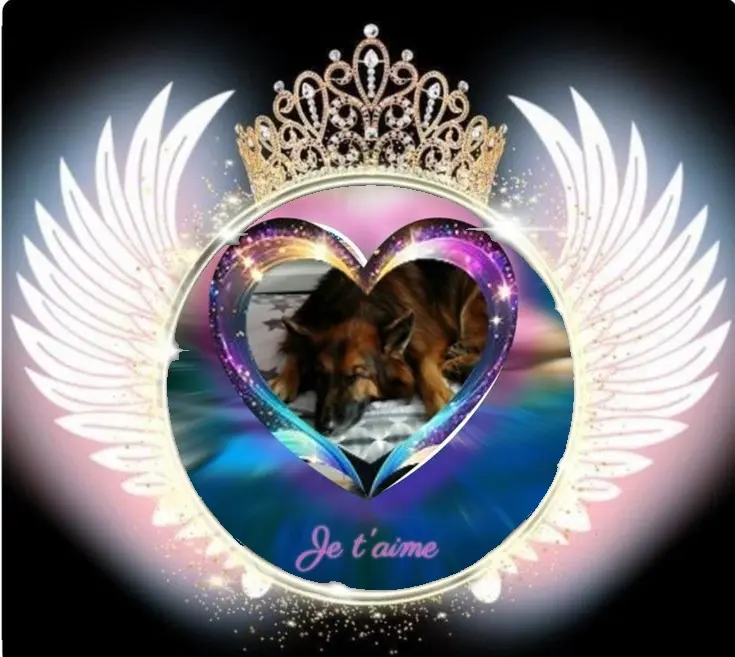 Condolence image of Dobrej Nocki❤️❤️❤️❤️❤️❤️mój Ukochany❤️❤️❤️❤️❤️❤️Misieńku❤️❤️❤️