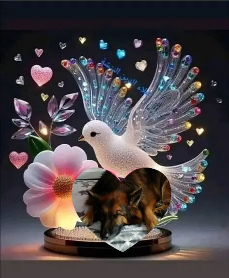 Condolence image of Dobrej Nocki❤️❤️❤️❤️❤️❤️mój Ukochany❤️❤️❤️❤️❤️❤️Misieńku❤️❤️❤️