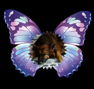 Condolence image of Dobrej Nocki❤️❤️❤️❤️❤️❤️mój Ukochany❤️❤️❤️❤️❤️❤️Misieńku❤️❤️❤️
