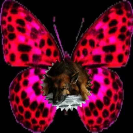 Condolence image of Dobrej Nocki❤️❤️❤️❤️❤️❤️mój Ukochany❤️❤️❤️❤️❤️❤️Misieńku❤️❤️❤️