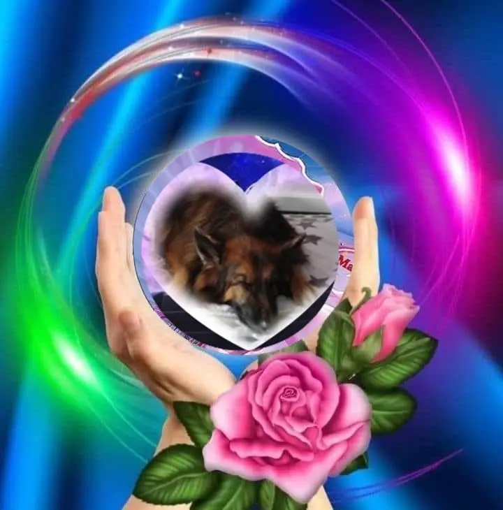 Condolence image of Dobrej Nocki❤️❤️❤️❤️❤️❤️mój Ukochany❤️❤️❤️❤️❤️❤️Misieńku❤️❤️❤️