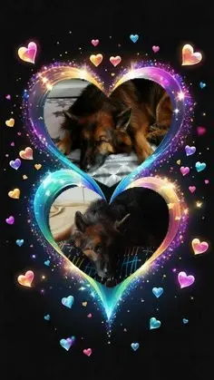 Condolence image of Dobrej Nocki❤️❤️❤️❤️❤️❤️mój Ukochany❤️❤️❤️❤️❤️❤️Misieńku❤️❤️❤️
