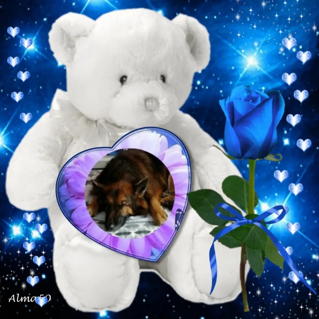 Condolence image of Dobrej Nocki❤️❤️❤️❤️❤️❤️mój Ukochany❤️❤️❤️❤️❤️❤️Misieńku❤️❤️❤️