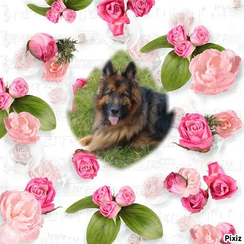 Condolence image of Dzień Dobry❤️❤️❤️mój Ukochany❤️❤️❤️❤️❤️❤️❤️Misieńku❤️❤️❤️