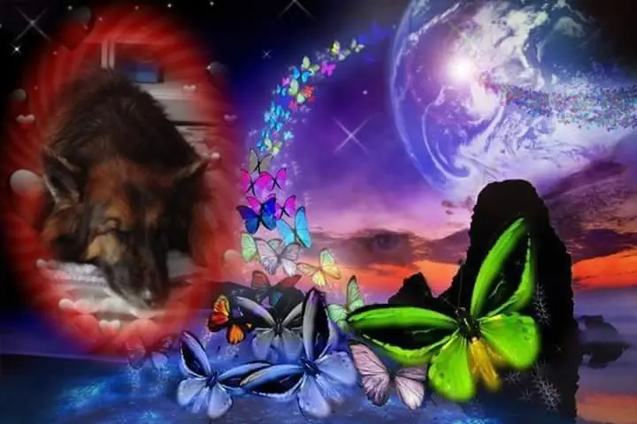 Condolence image of Dobrej Nocki❤️❤️❤️❤️❤️❤️mój Ukochany❤️❤️❤️❤️❤️❤️Misieńku❤️❤️❤️