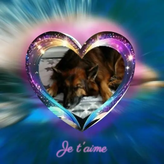 Condolence image of Dobrej Nocki❤️❤️❤️❤️❤️❤️mój Ukochany❤️❤️❤️❤️❤️❤️Misieńku❤️❤️❤️