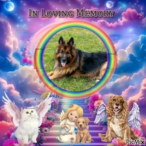 Condolence image of Dzień Dobry❤️❤️❤️mój Ukochany❤️❤️❤️❤️❤️❤️❤️Misieńku❤️❤️❤️