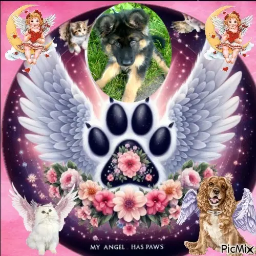 Condolence image of ❤️❤️❤️❤️❤️❤️❤️❤️❤️❤️❤️❤️