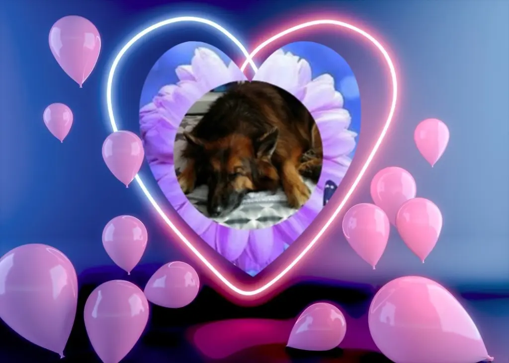 Condolence image of Dobrej Nocki❤️❤️❤️❤️❤️❤️mój Ukochany❤️❤️❤️❤️❤️❤️Misieńku❤️❤️❤️