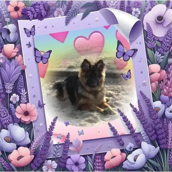 Condolence image of Dzień Dobry❤️❤️❤️mój Ukochany❤️❤️❤️❤️❤️❤️❤️Misieńku❤️❤️❤️