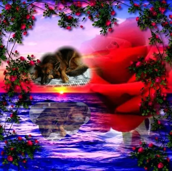 Condolence image of Dobrej Nocki❤️❤️❤️❤️❤️❤️mój Ukochany❤️❤️❤️❤️❤️❤️Misieńku❤️❤️❤️