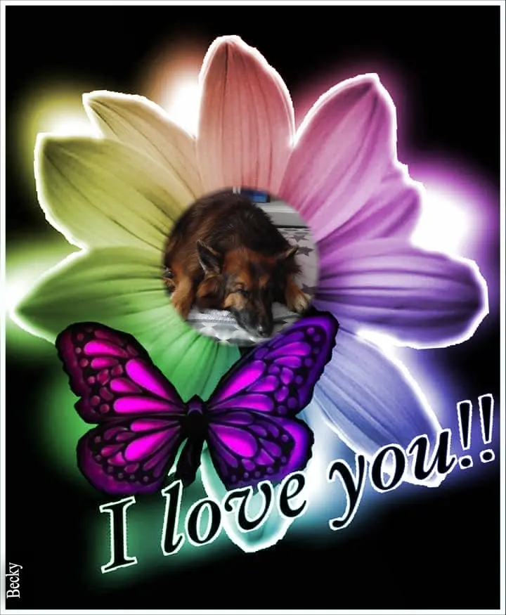 Condolence image of Dobrej Nocki❤️❤️❤️❤️❤️❤️mój Ukochany❤️❤️❤️❤️❤️❤️Misieńku❤️❤️❤️