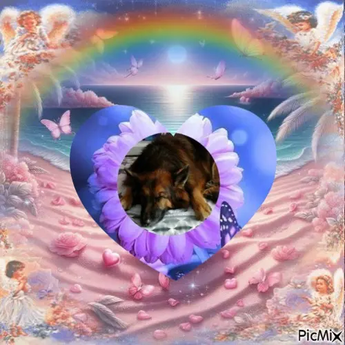 Condolence image of Dobrej Nocki❤️❤️❤️❤️❤️❤️mój Ukochany❤️❤️❤️❤️❤️❤️Misieńku❤️❤️❤️