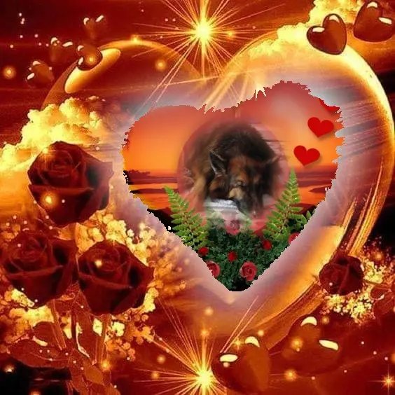 Condolence image of Dobrej Nocki❤️❤️❤️❤️❤️❤️mój Ukochany❤️❤️❤️❤️❤️❤️Misieńku❤️❤️❤️