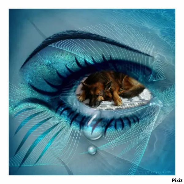 Condolence image of Dobrej Nocki❤️❤️❤️❤️❤️❤️mój Ukochany❤️❤️❤️❤️❤️❤️Misieńku❤️❤️❤️