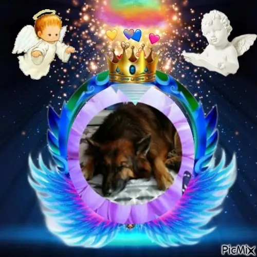 Condolence image of Dobrej Nocki❤️❤️❤️❤️❤️❤️mój Ukochany❤️❤️❤️❤️❤️❤️Misieńku❤️❤️❤️