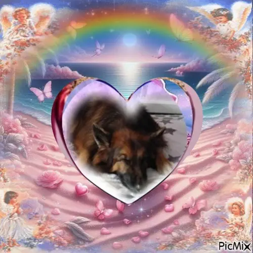 Condolence image of Dobrej Nocki❤️❤️❤️❤️❤️❤️mój Ukochany❤️❤️❤️❤️❤️❤️Misieńku❤️❤️❤️