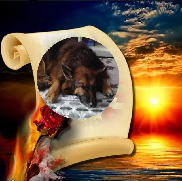 Condolence image of Dobrej Nocki❤️❤️❤️❤️❤️❤️mój Ukochany❤️❤️❤️❤️❤️❤️Misieńku❤️❤️❤️