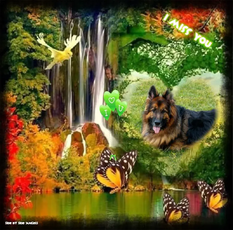 Condolence image of Dobry Wieczór❤️❤️❤️Ukochany❤️❤️❤️❤️❤️❤️❤️❤️❤️❤️❤️Mińku❤️❤️❤️