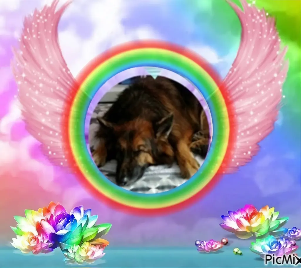 Condolence image of Dobrej Nocki❤️❤️❤️❤️❤️❤️mój Ukochany❤️❤️❤️❤️❤️❤️Misieńku❤️❤️❤️