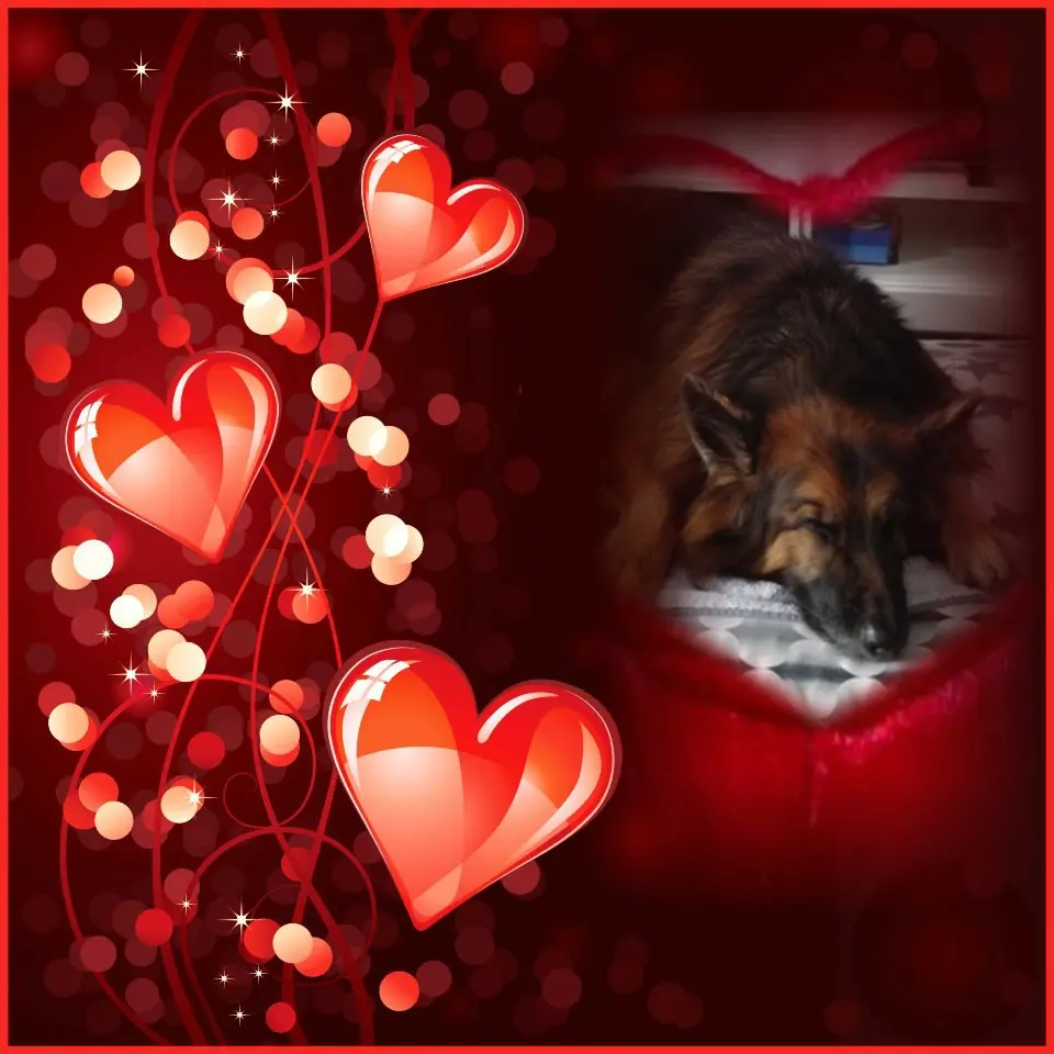 Condolence image of Dobrej Nocki❤️❤️❤️❤️❤️❤️mój Ukochany❤️❤️❤️❤️❤️❤️Misieńku❤️❤️❤️