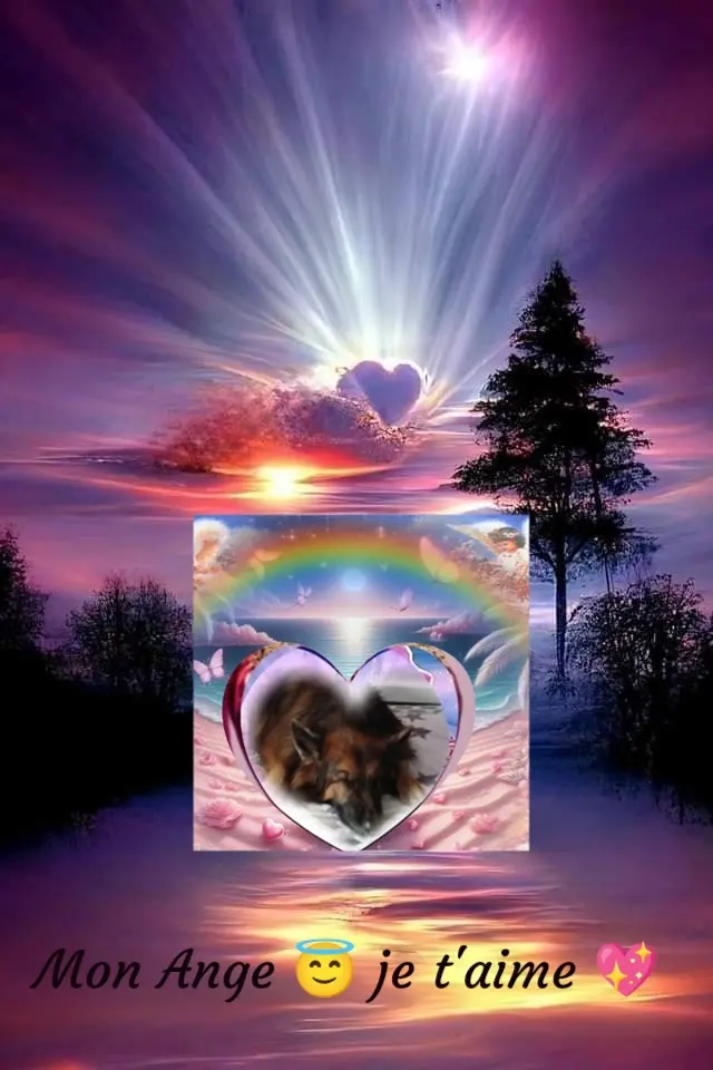 Condolence image of Dobrej Nocki❤️❤️❤️❤️❤️❤️mój Ukochany❤️❤️❤️❤️❤️❤️Misieńku❤️❤️❤️