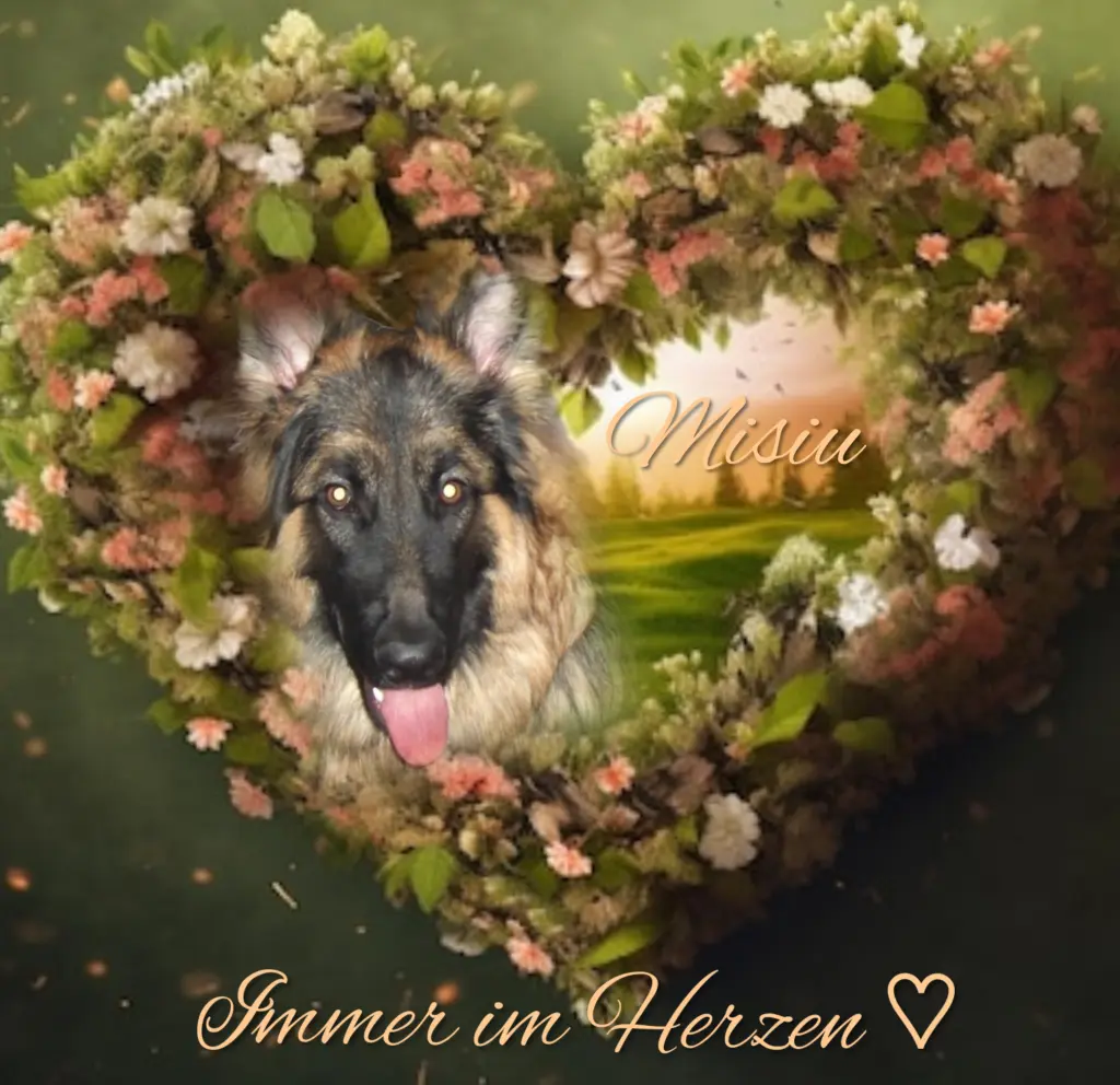 Condolence image of Gaby mit Snowy ❤️