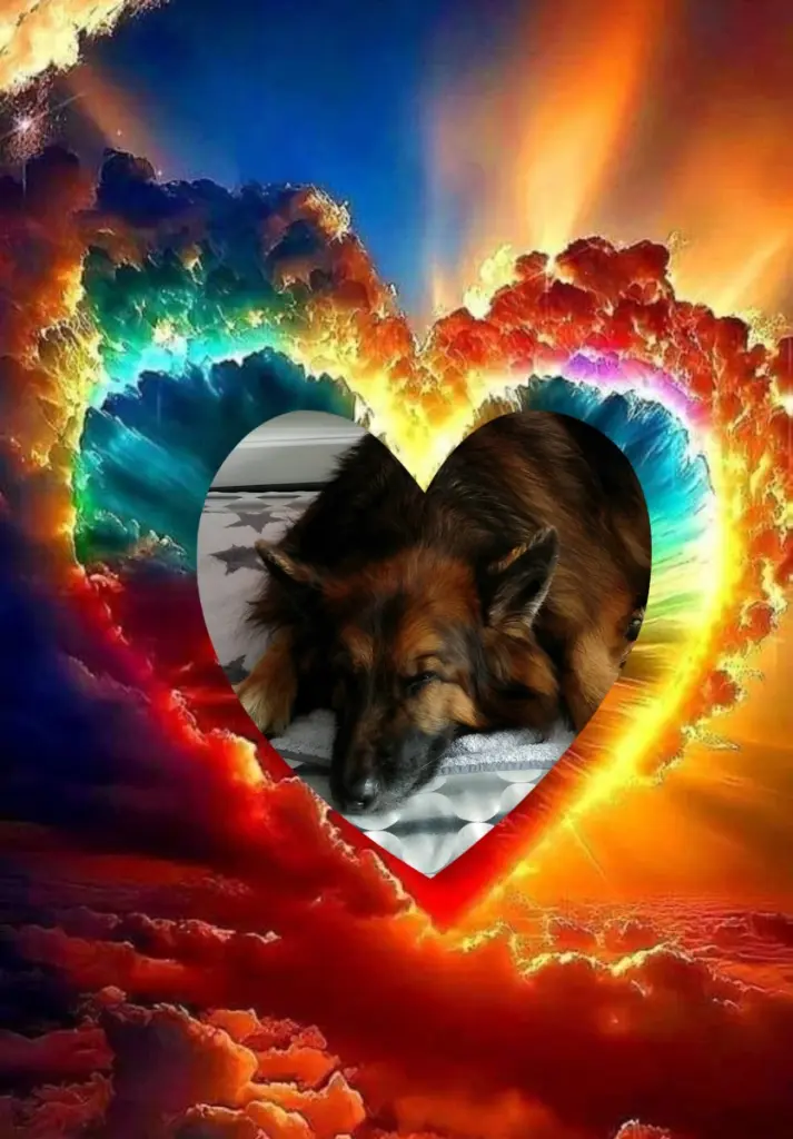 Condolence image of Dobrej Nocki❤️❤️❤️❤️❤️❤️mój Ukochany❤️❤️❤️❤️❤️❤️Misieńku❤️❤️❤️